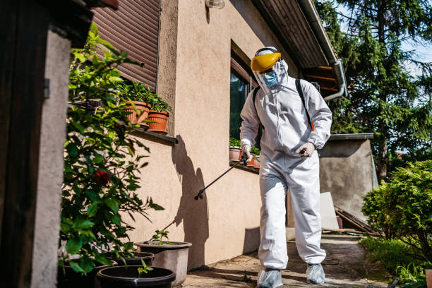 Best Pest Removal Services  in Mitchell, NE