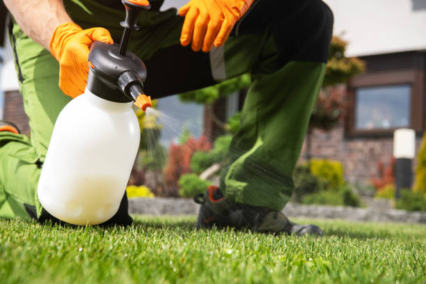Wasp Removal Services in Mitchell, NE