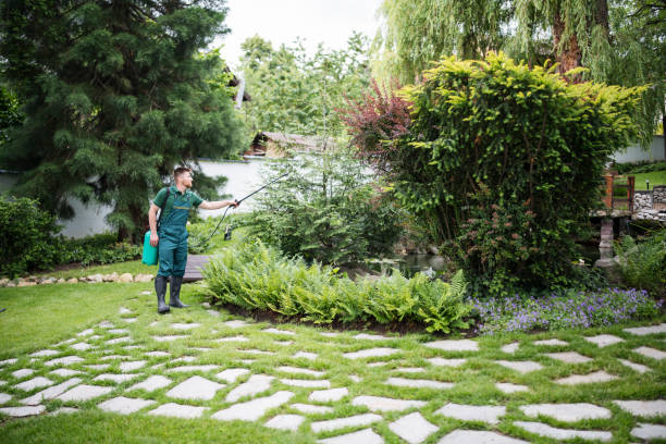 Best Affordable Pest Control Services  in Mitchell, NE
