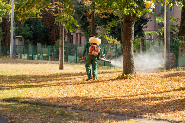 Best Flea Control Services  in Mitchell, NE