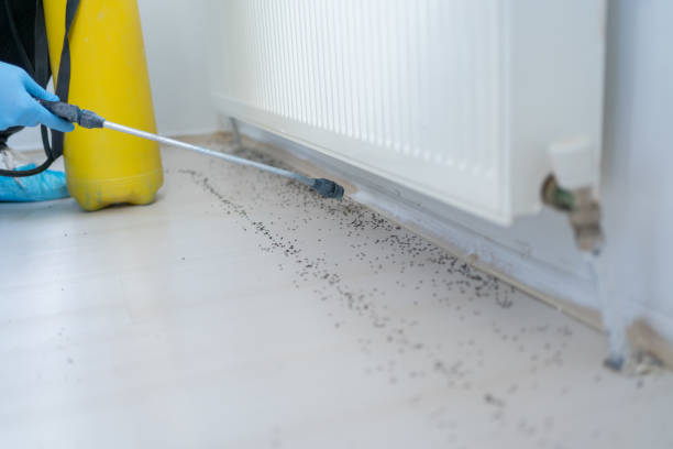 Best Termite Control Services  in Mitchell, NE